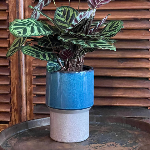 Bloempot JADE L